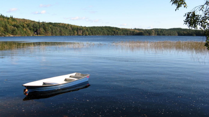 Autumn in Sweden