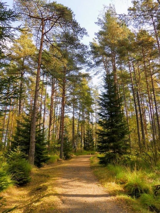 Autumn in southern Sweden - Fine days in September and October