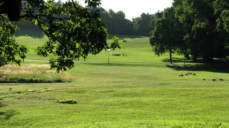 Haga Park and Haga Castle in Solna, Stockholm