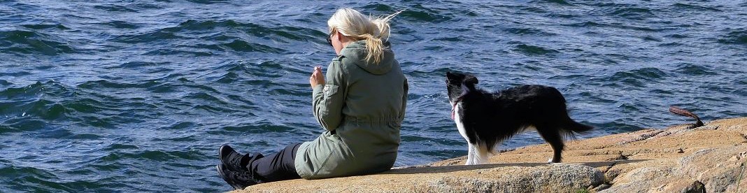 Dog-Friendly Holiday Homes (Pets Allowed)