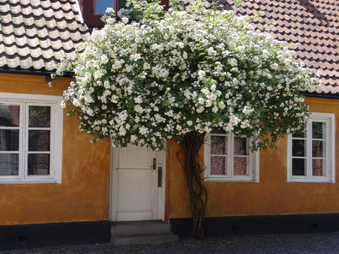 Lund