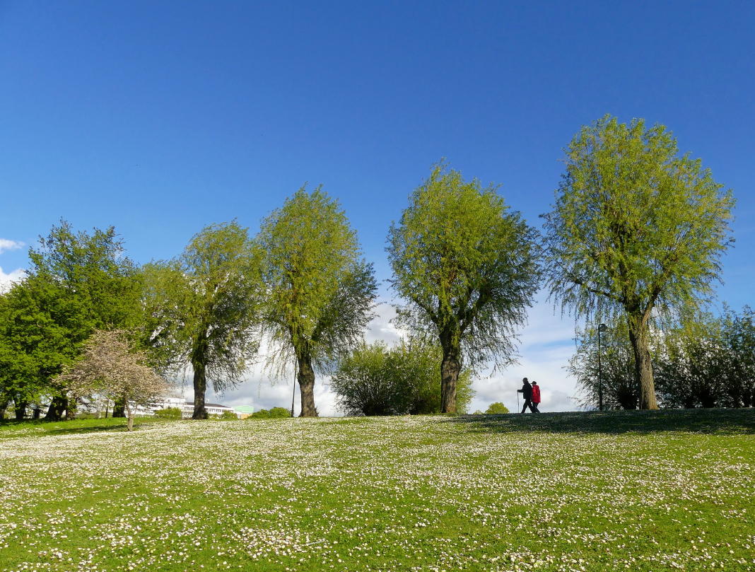 Pildammsparken