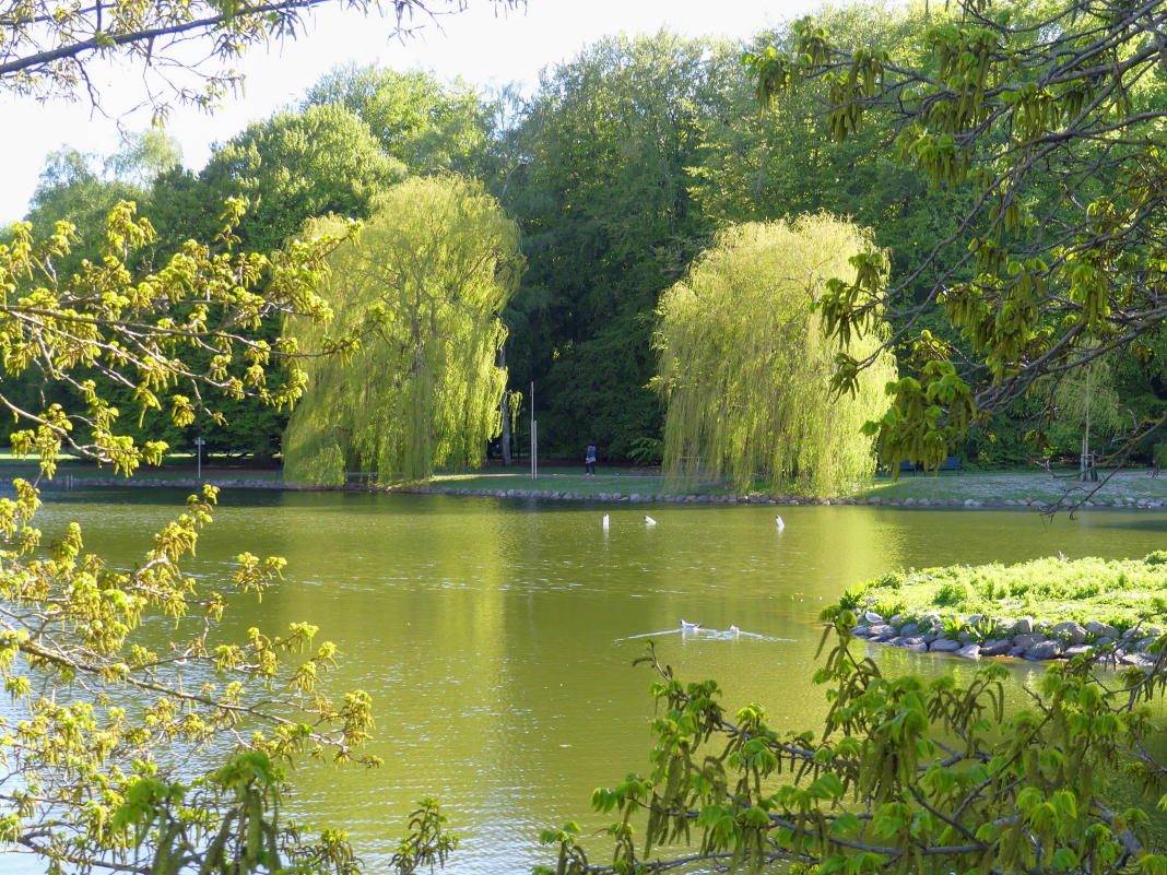 Pildammsparken