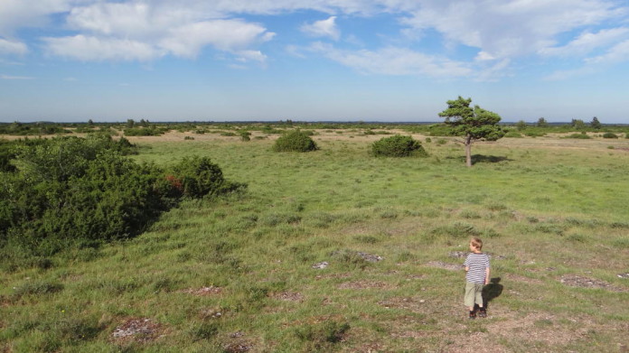 The island of Öland