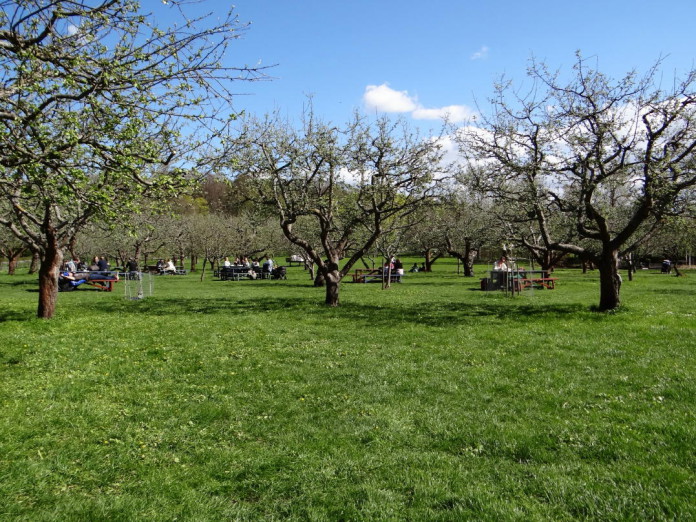 The Rosendal Garden and Park, Stockholm