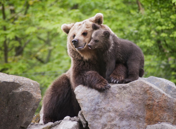 Skansen Stockholm