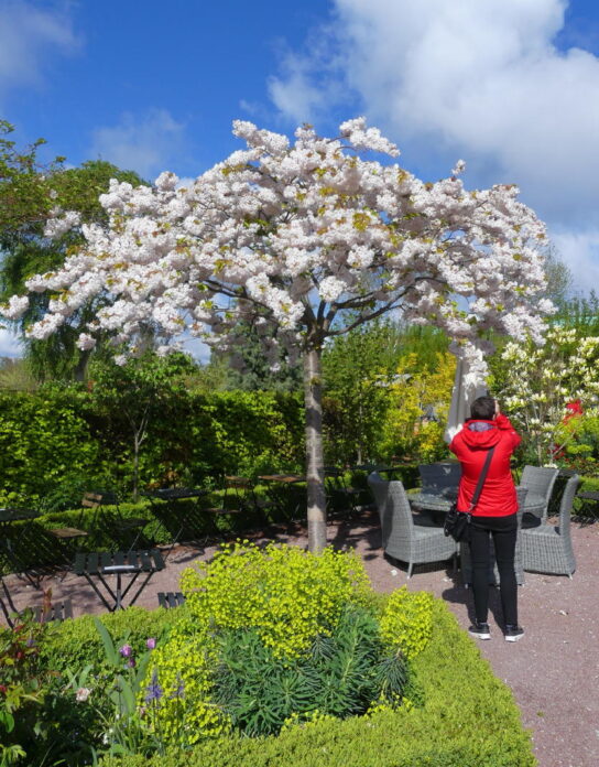 Slottsparken and Slottsträdgården