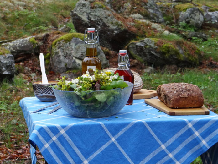 Rocklösa