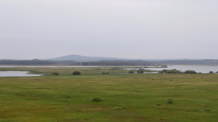 Store Mosse National Park