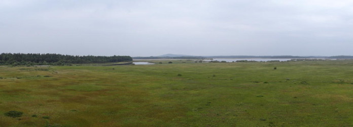 Store Mosse National Park